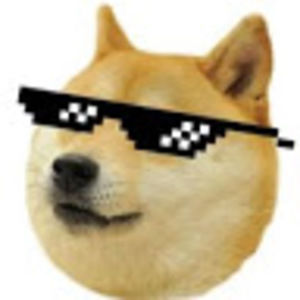 Meet your Posher, Flashypoodlegaming